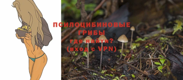 меф Дмитровск
