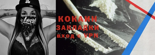 гидропоника Дмитриев