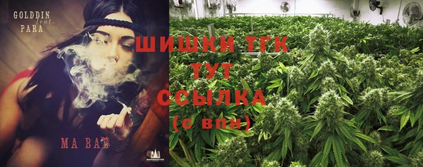гидропоника Дмитриев