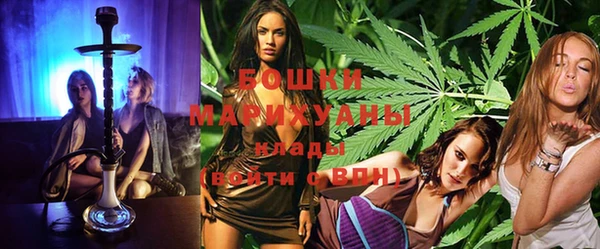 гидропоника Дмитриев