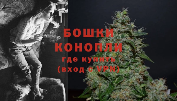гидропоника Дмитриев