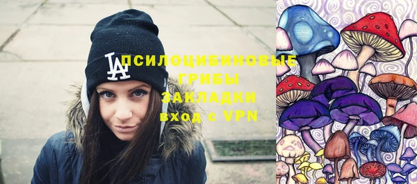 гидропоника Дмитриев