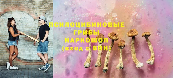 гидропоника Дмитриев
