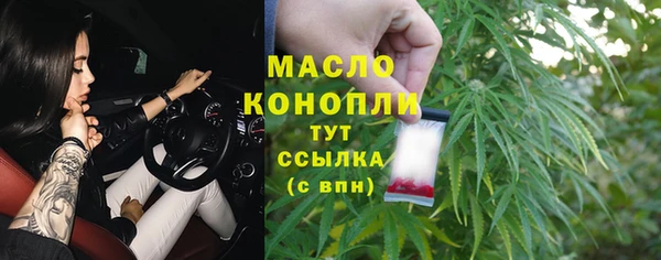 гидропоника Дмитриев