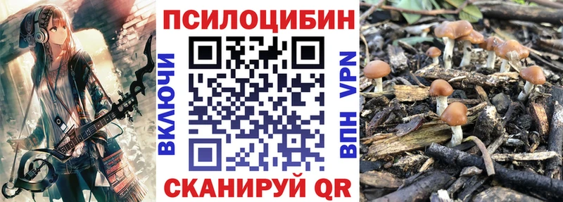 Псилоцибиновые грибы ЛСД где купить наркотик Новая Ладога